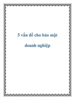 5 vấn đề cho bảo mật doanh nghiệp doc