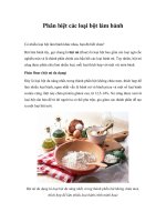 Phân biệt các loại bột làm bánh pot