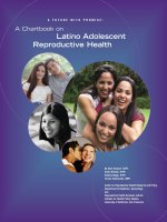 A FUTURE WITH PROMISE: A Chartbook on Latino Adolescent Reproductive Health pdf