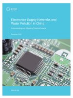 Electronics Supply Networks and Water Pollution in China: Understanding and Mitigating Potential Impacts docx