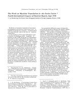 Báo cáo khoa học: 