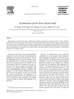 Si nanowires grown from silicon oxide