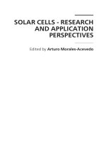 SOLAR CELLS - RESEARCH AND APPLICATION PERSPECTIVES pot