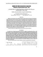 NGHIÊN CỨU THĂM DÒ SINH SẢN CÁ CHẠCH BÙN (Misgurnus anguillicaudatus Cantor, 1842) pdf