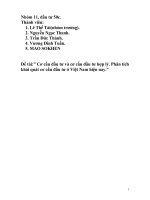 Cơ cấu đầu tư và cơ cấu đầu tư hợp lý - Nhóm 11 ppt