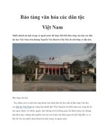 Bảo tàng văn hóa các dân tộc Việt Nam pot