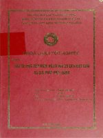 khóa luận tốt nghiệp đầu tư trực tiếp nước ngoài vào du lịch việt nam và giải pháp phát triển