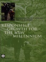 responsible growth for the new millennium pdf