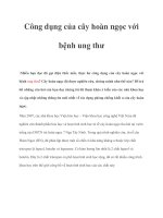 Công dụng của cây hoàn ngọc với bệnh ung thư potx