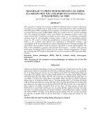 THANH LỌC VÀ PHÂN TÍCH DI TRUYỀN CÁC GIỐNG LÚA KHÁNG RẦY NÂU (NILAPARVATA LUGENS STAL.) Ở THÀNH PHỐ CẦN THƠ pptx