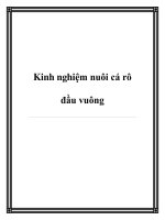 Kinh nghiệm nuôi cá rô đầu vuông potx