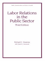 Labor Relations in the Public Sector pptx