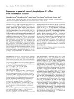 Báo cáo khoa học: Expression in yeast of a novel phospholipase A1 cDNA from Arabidopsis thaliana docx