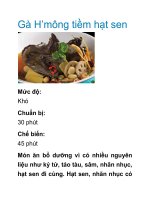 Gà H’mông tiềm hạt sen pot