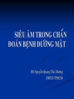 Siêu âm trong chuẩn đoán bệnh đường mật pot