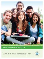 Preconception Health 2013–2015 Rhode Island Strategic Plan docx