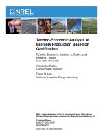 Techno-Economic Analysis of Biofuels Production Based on Gasification docx