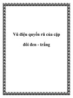 Vũ điệu quyến rũ của cặp đôi đen - trắng pptx