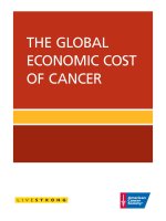 THE GLOBAL ECONOMIC COST OF CANCER pptx