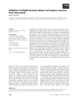 Báo cáo khoa học: Inhibition of Hsp90 function delays and impairs recovery from heat shock ppt