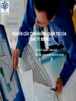 NGHIÊN CỨU TÌNH HUỐNG QUẢN TRỊ CỦA CÔNG TY BERMO
