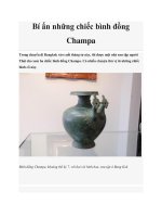 Bí ẩn những chiếc bình đồng Champa potx