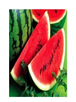 Dưa hấu - Thanh nhiệt, giải thử ppt