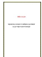 TIỂU LUẬN: NỘI DUNG CƠ BẢN VÀ BÌNH LUẬN PHÁP LUẬT VIỆT NAM VỀ ĐƯQT pptx