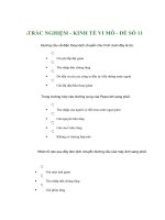 TRẮC NGHIỆM - KINH TẾ VI MÔ - ĐỀ SỐ 11 docx