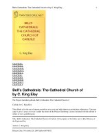 Bell''''s Cathedrals: The Cathedral Church of Carlisle pdf
