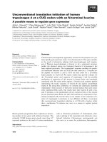 Báo cáo khoa học: Unconventional translation initiation of human trypsinogen 4 at a CUG codon with an N-terminal leucine A possible means to regulate gene expression pdf