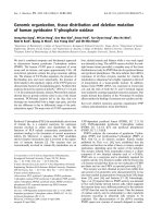 Báo cáo khoa học: Genomic organization, tissue distribution and deletion mutation of human pyridoxine 5¢-phosphate oxidase pptx