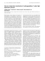 Báo cáo khoa học: Sub-zero temperature inactivation of carboxypeptidase Y under high hydrostatic pressure pot