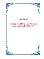TIỂU LUẬN:Tập hợp lực lượng của Mỹ và Liên Xô trong chiến tranh lạnh 1945 -1991 ppt