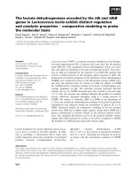 Báo cáo khoa học: The lactate dehydrogenases encoded by the ldh and ldhB genes in Lactococcus lactis exhibit distinct regulation and catalytic properties ) comparative modeling to probe the molecular basis pdf