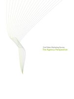 Viral Video Marketing Survey: The Agency Perspective pot