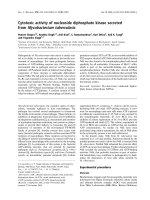 Báo cáo khoa học: Cytotoxic activity of nucleoside diphosphate kinase secreted from Mycobacterium tuberculosis pptx