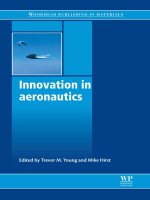Innovation in aeronautics docx