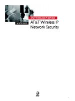 AT&T Wireless IP Network Security pptx