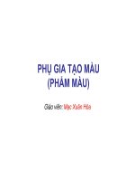 PHỤ GIA TẠO MÀU pot