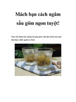 Mách bạn cách ngâm sấu giòn ngon tuyệt pdf