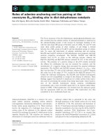 Báo cáo khoa học: Roles of adenine anchoring and ion pairing at the coenzyme B12-binding site in diol dehydratase catalysis pptx
