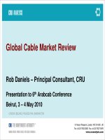 Global Cable Market Review pptx