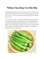 Những Công Dụng Của Đậu Bắp doc