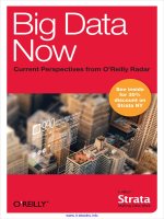 Big Data Now: Current Perspectives from O''''Reilly Radar pptx