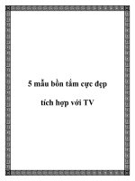 5 mẫu bồn tắm cực đẹp tích hợp với TV doc