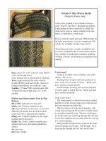 Print O’ The Wave Stole potx