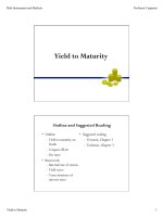 Yield to Maturity ppt