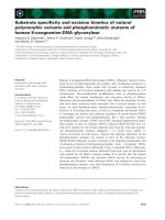 Báo cáo khoa học: Substrate speciﬁcity and excision kinetics of natural polymorphic variants and phosphomimetic mutants of human 8-oxoguanine-DNA glycosylase pot