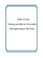 TIỂU LUẬN: Thương mại điện tử với sự phát triển ngân hàng ở Việt Nam docx